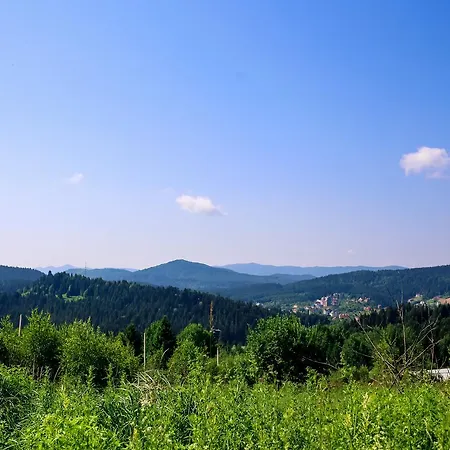 Buhiv *