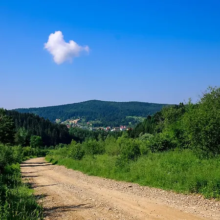 Buhiv *